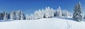 A panoramic view of the covered with frost trees in the snowdrifts. Magical winter forest. Natural landscape with beautiful sky. Royalty Free Stock Photo