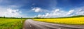 Panoramic view of the curve asphalt road in spring in nature. Royalty Free Stock Photo