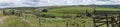 Panoramic view of Dartmoor