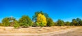 Panoramic view of deciduous forest at Autumn near Magdeburg, Ger Royalty Free Stock Photo