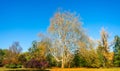 Panoramic view of deciduous forest at golden Autumn in Germany, Royalty Free Stock Photo