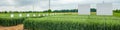 panoramic view of divided sectors demo plots of cereals with pointers