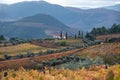 Panoramic view on Douro river valley and colorful hilly stair step terraced vineyards in autumn, wine making industry in Portugal Royalty Free Stock Photo