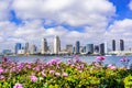 Panoramic view of the downtown San Diego skyline taken from Coronado Island, California Royalty Free Stock Photo