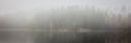 Panoramic view of an eerie and foggy lake with a forest - perfect for dark horror scenarios Royalty Free Stock Photo