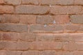 Brick wall of red color, old red brick wall texture background.3 Royalty Free Stock Photo