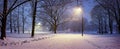 Panoramic view of evening winter landscape. View of covered in snow trees in park and street lights Royalty Free Stock Photo