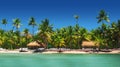 Panoramic view of Exotic Palm trees on the tropical beach Royalty Free Stock Photo