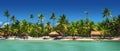 Panoramic view of Exotic Palm trees on the tropical beach Royalty Free Stock Photo