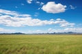 a panoramic view of an expansive, open grassland