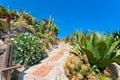 Panoramic view of  Eze Village, French Riviera, Frankreich Royalty Free Stock Photo