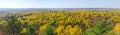 Panoramic View of Fall Colors in Algonquin Park Royalty Free Stock Photo