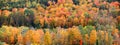 view of fall foliage in rural Vermont Royalty Free Stock Photo