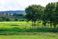panoramic view of farm pasture with trees Royalty Free Stock Photo