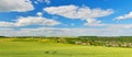 Panoramic view of field of green wheat Royalty Free Stock Photo