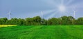 field of summer green grass and three windmills