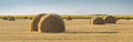 Panoramic view of field with wheat straw, hay bales and sky, rural landscape in the agriculture farm land. Royalty Free Stock Photo