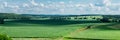 Panoramic view of fields with corn. Village Popovka, Cherkasy region, Ukraine Royalty Free Stock Photo