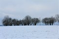 A panoramic view on the fields covered by snow - Walonie, Belgium Royalty Free Stock Photo