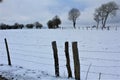 A panoramic view on the fields covered by snow - Walonie, Belgium Royalty Free Stock Photo