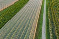 Panoramic view on fields with a hail protection net, apple trees, pear trees, peaches during the rising sun. Royalty Free Stock Photo