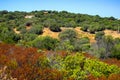 Hills and valleys south the town of Arzachena, Sardinia, Italy - the archeological area of ancient Neolithic