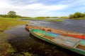 Panoramic view of the flooded meadows and wetlands by the Biebrza river in Poland