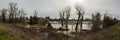 Panoramic view of flooded trees growing on a levee in california with a boat dock