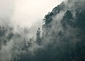 Fog and Mist Covered Mountainous Terrian