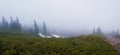 Panoramic view foggy morning in the Carpathian mountains with coniferous forest in the haze and little snow remaining through the