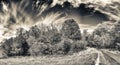 Panoramic view of foliage in New England. Road and trees on a beautiful autumn day