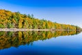 Panoramic view of the foliage Royalty Free Stock Photo