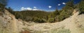 A panoramic view of a forest with a dirt road in the middle Royalty Free Stock Photo