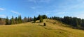 Panoramic view of the forest glade in the mountains.