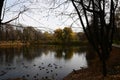 Panoramic view of the forest lake on an autumn day. Royalty Free Stock Photo