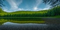 Panoramic view of a forest with reflection in a lake. Mountain lake with coniferous forest and reflection in the water. Beautiful Royalty Free Stock Photo