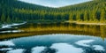 Panoramic view of a forest with reflection in a lake. Mountain lake with coniferous forest and reflection in the water. Beautiful Royalty Free Stock Photo