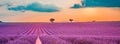 Beautiful landscape. Panorama lavender field summer sunset landscape near Valensole. Provence, France Royalty Free Stock Photo