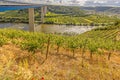 Panoramic view of German river Mosel with a valley bridge and vineyards on a sunny day Royalty Free Stock Photo