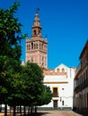 Panoramic view of the Giralda of Seville from th Patio de Banderas Royalty Free Stock Photo