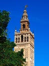 Panoramic view of the Giralda of Seville from th Patio de Banderas Royalty Free Stock Photo