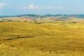 Panoramic view of golden fields of Tuscany Royalty Free Stock Photo