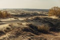 Panoramic view of the golden sand dunes of the Curonian Spit. The coastline of the Baltic Sea, forest belt, shrubs and Royalty Free Stock Photo