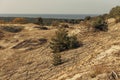 Panoramic view of the golden sand dunes of the Curonian Spit. The coastline of the Baltic Sea, forest belt, shrubs and Royalty Free Stock Photo