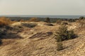 Panoramic view of the golden sand dunes of the Curonian Spit. The coastline of the Baltic Sea, forest belt, shrubs and Royalty Free Stock Photo