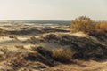 Panoramic view of the golden sand dunes of the Curonian Spit. The coastline of the Baltic Sea, forest belt, shrubs and Royalty Free Stock Photo