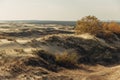 Panoramic view of the golden sand dunes of the Curonian Spit. The coastline of the Baltic Sea, forest belt, shrubs and Royalty Free Stock Photo