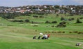 Panoramic view of the golf course
