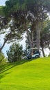 Panoramic view of beautiful golf course with buggy and pines on sunny day. Golf field with fairway, lake and pine-trees Royalty Free Stock Photo