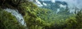 Goomoolahra Falls and the rain forest canopy in Springbrook National Park, Queensland Royalty Free Stock Photo